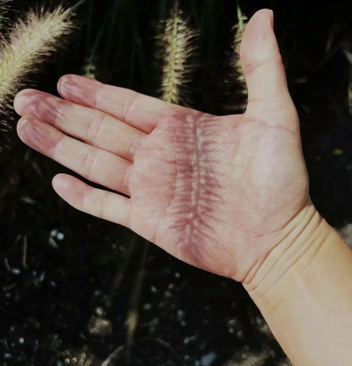 Ximen xiantong (@ximenhongzi) on Twitter photo 