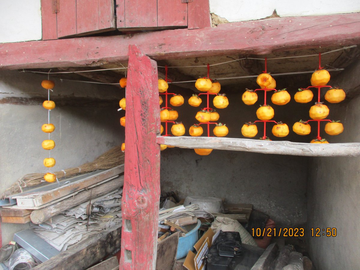 Dried Persimmons