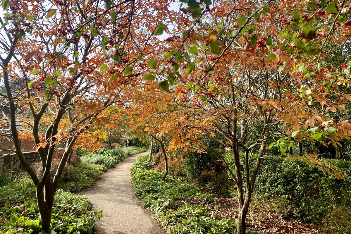 The beautiful Bridge End Garden in Saffron Walden is starting to look autumnal. <a href="/GardenBridgeEnd/">Bridge End Garden</a>
<a href="/swtic/">Saffron Walden TIC</a>
<a href="/Saffronwaldentc/">Saffron Walden Town Council</a>
<a href="/UttlesfordDC/">Uttlesford DC</a> <a href="/SafWaldInitiat/">SWInitiative</a> <a href="/DUttlesford/">Discover Uttlesford</a>
<a href="/VisitEssex/">Visit Essex</a> <a href="/swaldenreporter/">Saffron Walden Reporter</a> @arcldp
#SaffronWalden #Essex