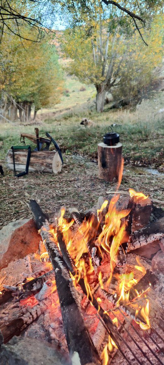 #kamp #mangal #çanta #çadır #balık #balıkçılık #balıkavı #doğa #ateş #soba #yapım #yapımı #orman #dövme #portatif #kendinyap #camp #camping #barbecue #knife #bag #tent #fishing #nature #fire #stove #howto #make #maker #making #forest #forged #portable #bushcraft #diy