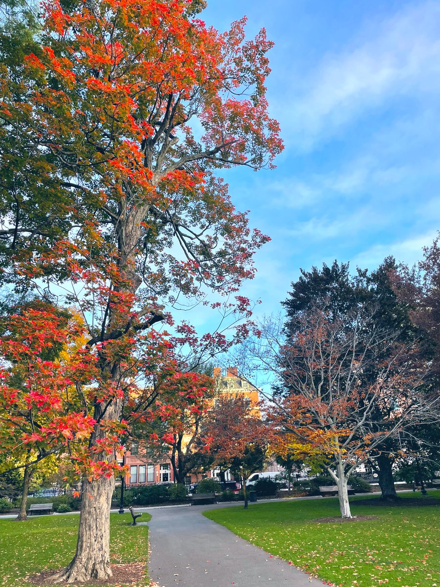 A perfect fall run before Day 2 of #ACSCC2023!