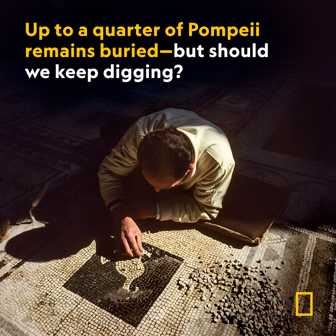 Pompeii still has secrets to reveal. But after several landslides and collapses, preservation may be the focus of future archaeological efforts on.natgeo.com/3QqByZ4