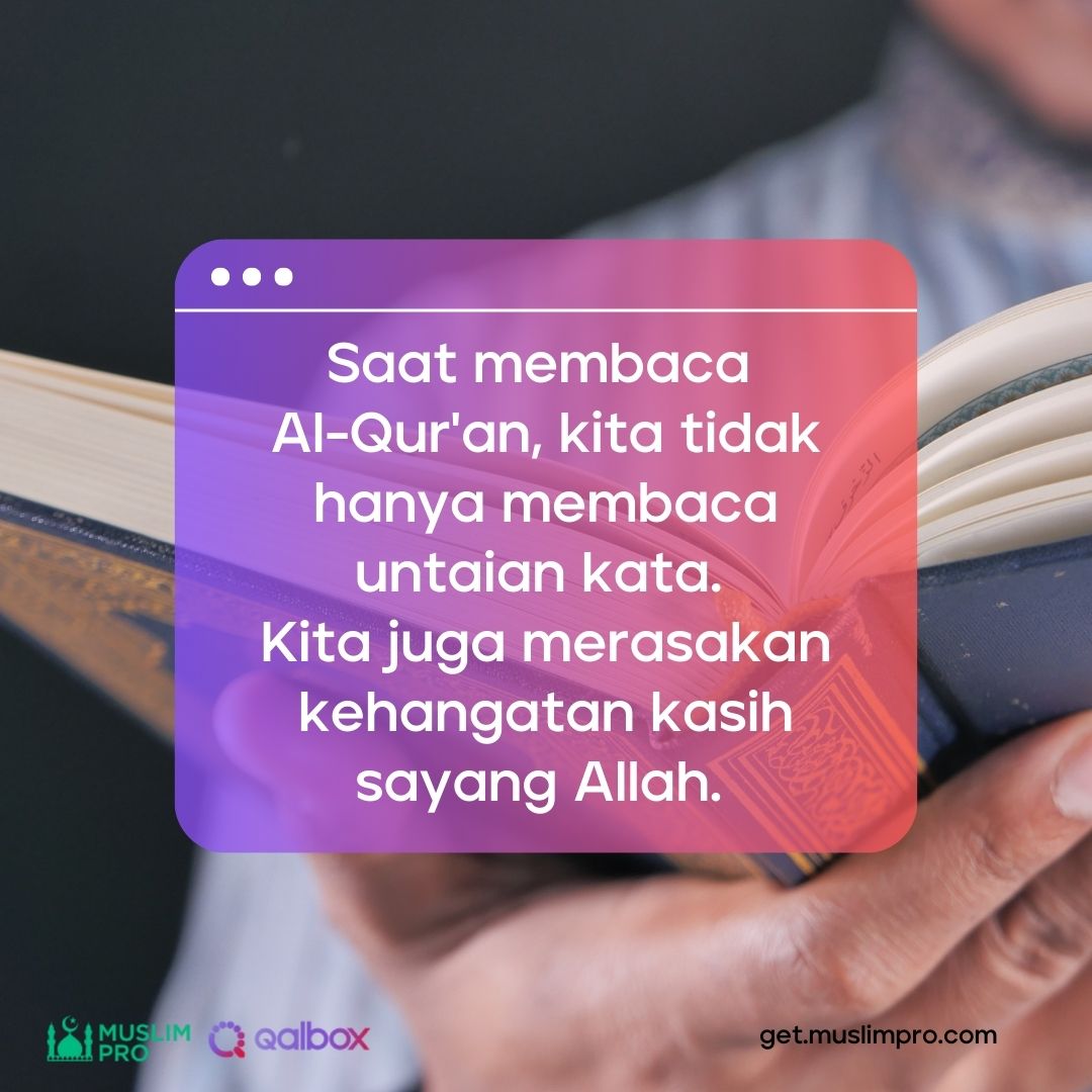 Jadikan Al-Quran lebih dari sekedar untaian kata dan rasakan betapa ayat-ayat indah tersebut merupakan perwujudan dari cinta Allah. 📖💖 #muslimpro #qalbox #alquran #katamutiara #motivasiislami