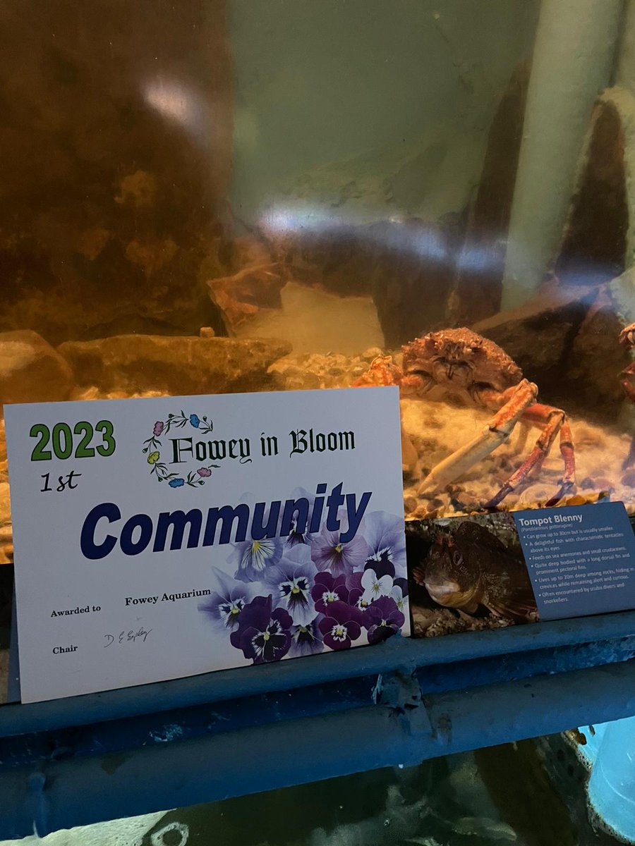 Celebrating our success!