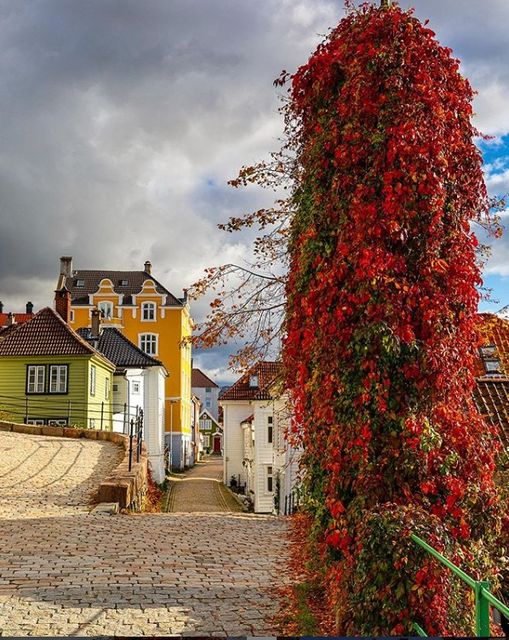 The streets of #Bergen are 'dressed' for autumn 🍂 Photo: instagram.com/atleihagen