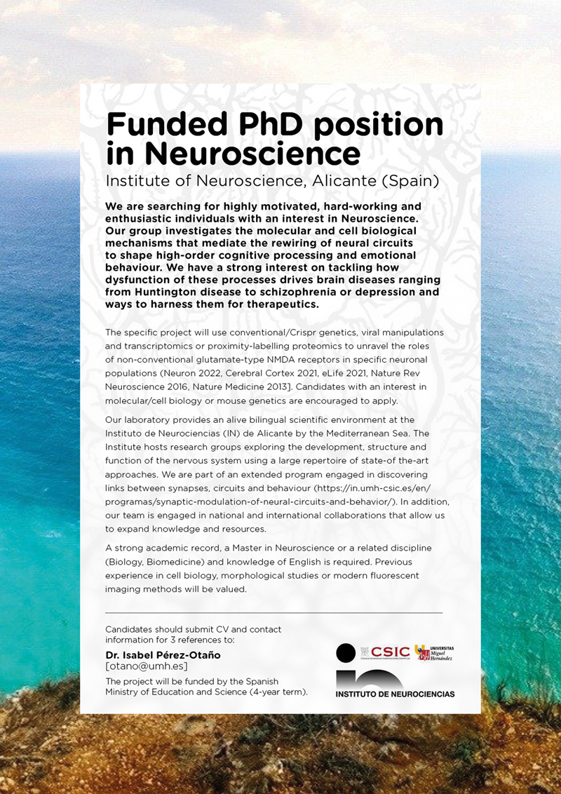 Perez-Otaño lab (@ipo_lab) on Twitter photo We are recruiting a PhD student to work on synaptic machinery, neural circuits and the emergence of behavior (below more details). Interested candidates please write to otano@umh.es. We are recruiting a PhD student to work on synaptic machinery, neural circuits and the emergence of behavior (below more details). Interested candidates please write to otano@umh.es.