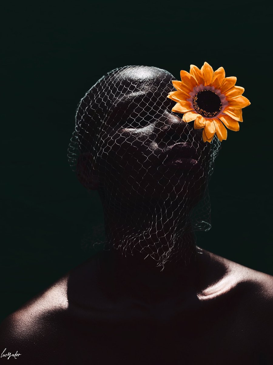 HELIANTHUS 🌻