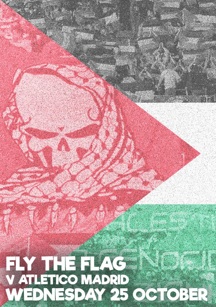 North Curve Celtic tweet media