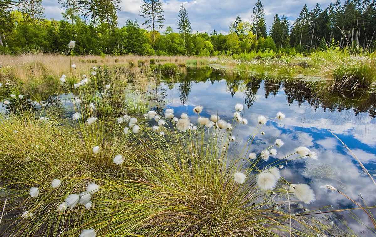 Het #Pieterpad is een van de mooiste tochten die je in Nederland kunt lopen. Op do 26/10 vertelt Wim van der Ende, schrijver en fotograaf van de #Pieterpadgidsen over de bijzondere landschappen onderweg bij Bieb Zeist om 19.30u. kunstenhuisidea.nl/class/groene-l…
@St_Pieterpad
