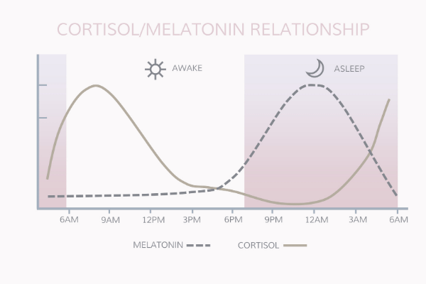 MELATONIN Anti-Cancer, Anti-Oxidant, Circadian Dictator, Mitochondrial ...