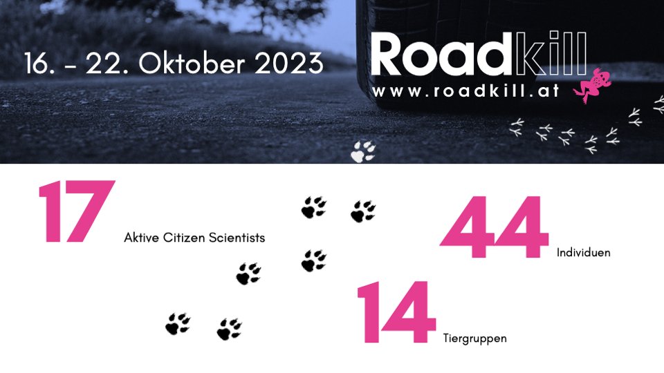 Wieviele überfahrene Tiere vergangene Woche in unserem #citizenscience Projekt gemeldet wurden, könnt ihr hier sehen.  Welche genau, findet ihr auf der Projektseite: roadkill.at/erfolge/woeche…