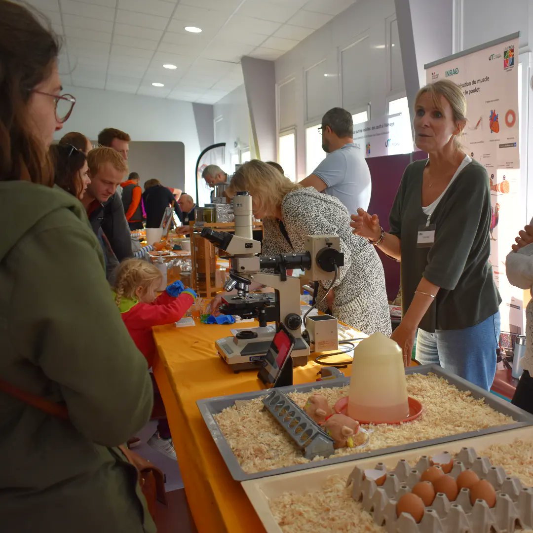INRAE_VDL's tweet photo. Retour en images sur deux jours de Fête de la science à Nouzilly, les 14 &amp; 15 octobre 📸
☀️ Près de 3700 curieux se sont aventurés dans le village des sciences INRAE 🐮🧗 #FDS2023
@_CentreSciences @UnivTours @InsermGrdOuest @iBrain_Inserm @DR08_CNRS @IRBI_Tours @CEA_Officiel https://t.co/x2wWR4yRxB