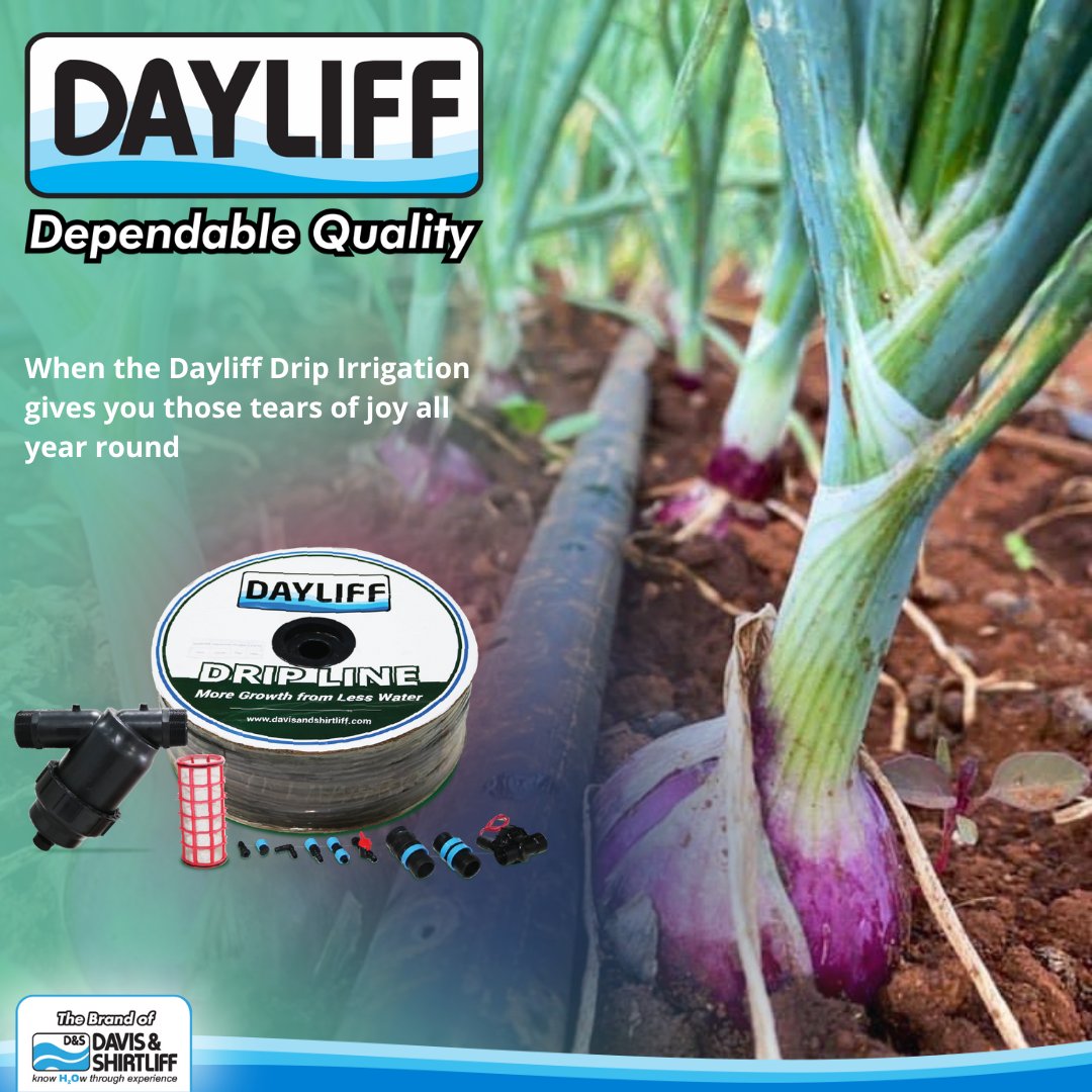 DavisShirtliff's tweet photo. When the Dayliff Drip Irrigation brings joy all year round, no need to rely on rain – just a big bountiful harvest of onions!

Visit https://t.co/SX3R3fGxF6 to start shopping. https://t.co/MUm2c4FqDc