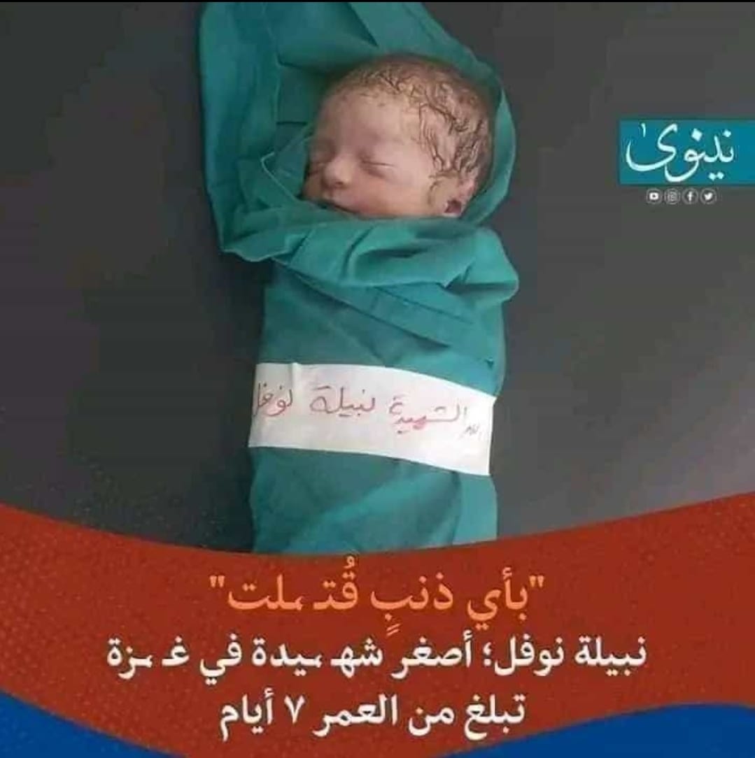 MJunaid_Sarfraz's tweet photo. #WhyCricket
#AlQudusBleeding 
#SayNoToWorldCup
#GazaOverCricketWorldCup
#LivesOverEntertainment 
#AlAqsa https://t.co/AVjY7j0GzM