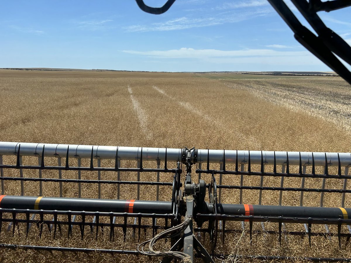 Sometimes you question if the plane has been in to spray a padlock not this time he left wheel tracks to prove it