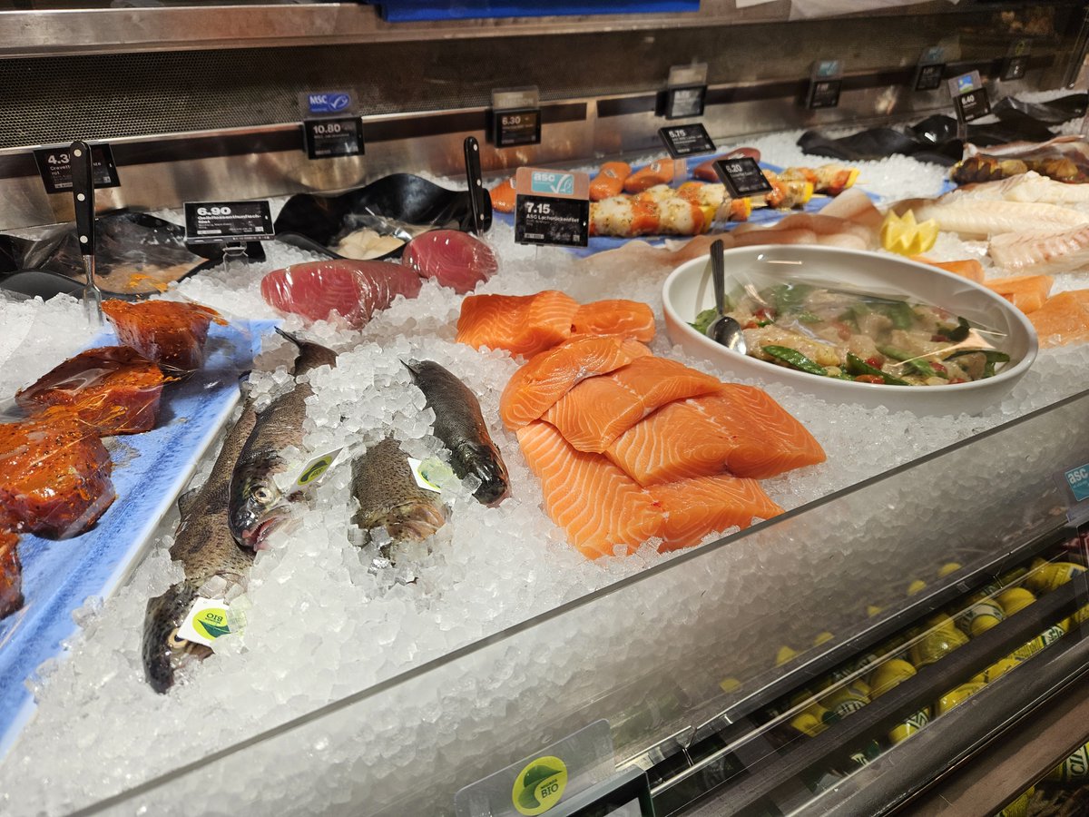 Anders Furuset tweet media