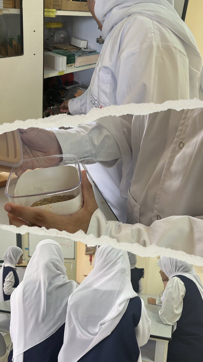 #فعاليات_تعليمية_شمال_الباطنة 
المختبر هو المكان المثالي الذي تنطلق منه المعرفة القائمة على الدلائل ،،،
ضمن مبادرة(مختبري ،،سر تميزي)،،،،تم تعريف طالبات الصف الخامس بماهية المختبر وأركانه بإشراف من 
فنية المختبر:أمجاد العجمية