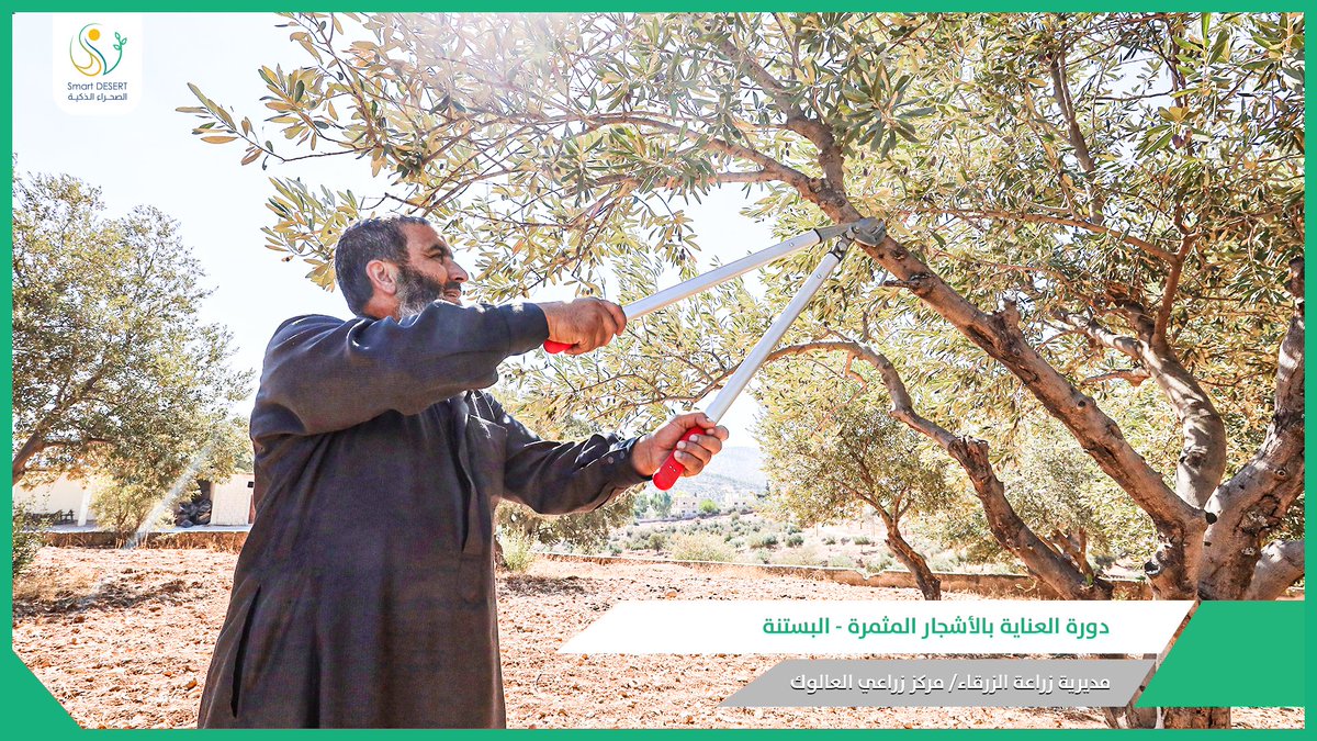 Smart DESERT tweet media