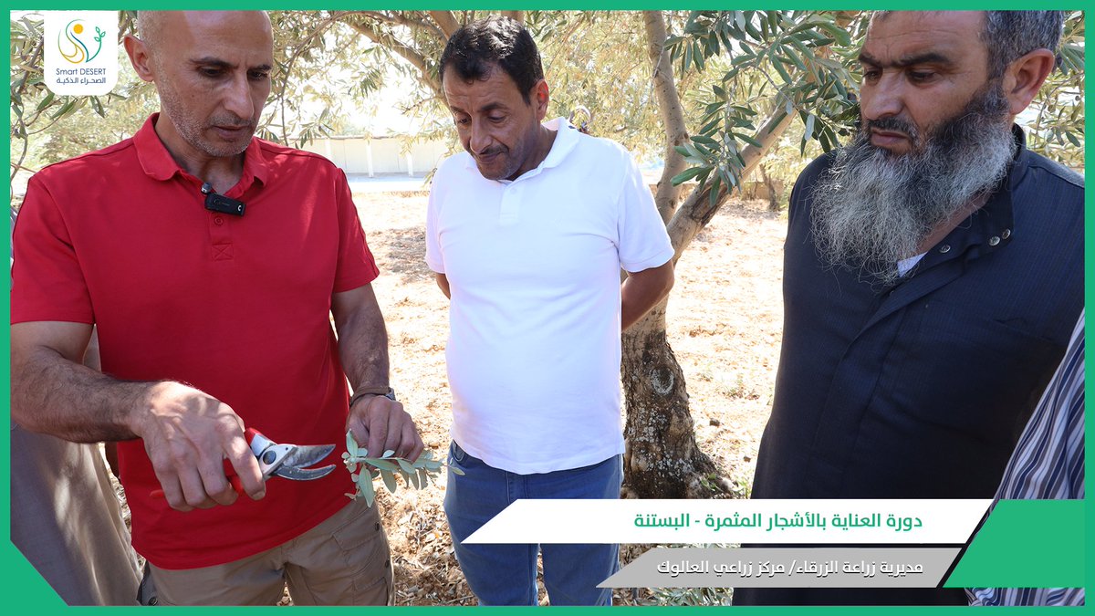 Smart DESERT tweet media