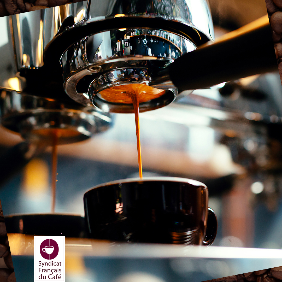 Syndicat Français du Café tweet media