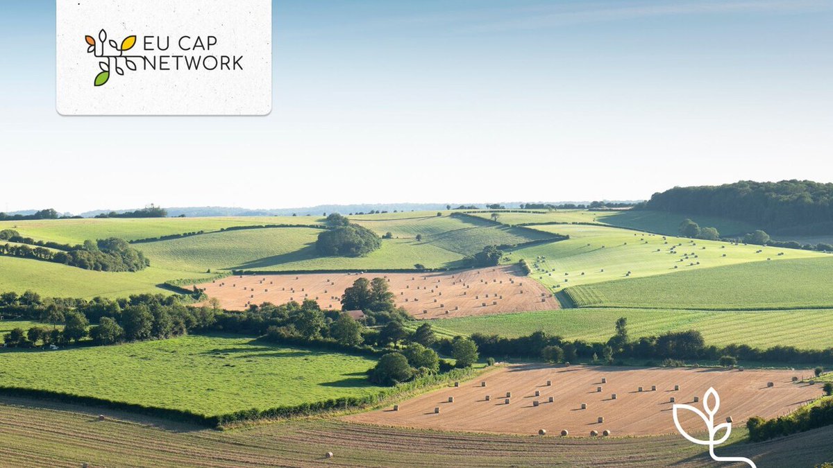 EU CAP Network (@eucapnetwork) on Twitter photo 💻 Browse the database from the SHERPA #Horizon2020 project! <a href="/ruralinterfaces/">Rural_interfaces</a>
You can find more than 750 research on rural areas like: bit.ly/3QgLTXC
✔biodiversity
✔social aspects
✔digitalisation
#agriculture #innovation 💻 Browse the database from the SHERPA #Horizon2020 project! <a href="/ruralinterfaces/">Rural_interfaces</a>
You can find more than 750 research on rural areas like: bit.ly/3QgLTXC
✔biodiversity
✔social aspects
✔digitalisation
#agriculture #innovation