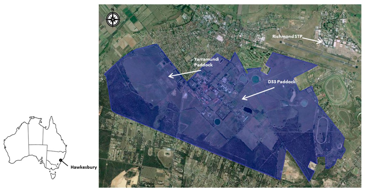 soils_mdpi's tweet photo. 📢Find out one of the most views paper!
Impact of Recycled #water #Irrigation on #SoilSalinity and Its #Remediation
🔎Read more at: https://t.co/QbWvAcYwmA
#recycledwater #salinity #leaching #sodiumadsorptionratio #electricalconductivity https://t.co/lMhqQ8XEVc