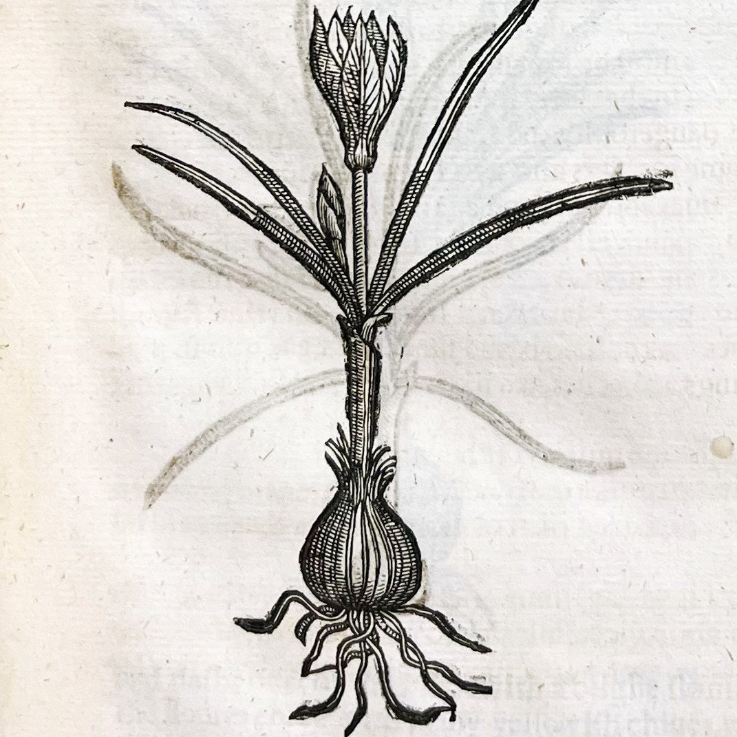 Hear poems written by the local community inspired by the medical and mystical texts found in the Exeter Cathedral Library and Archives.
Listen here: bit.ly/exeter-cathedr…
#ExeterCathedral #RiddlerinResidence #poetry