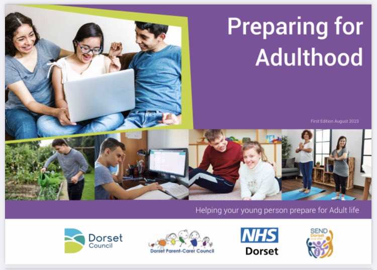 dorsetparentcarercouncil.co.uk/information