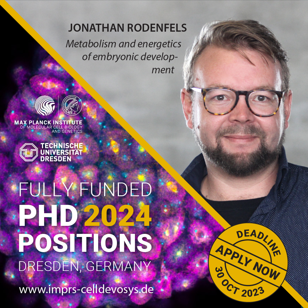 IMPRS-CellDevoSys (@imprs_mpicbg) on Twitter photo #Hungry for a #PhDposition focusing on #metabolism?🤤 Ravenous to boost your skills in analytical #chemistry and #embryology? Craving to spend your #PhD #energy budget working on energy budgets?
🌱Grow With Us, at the fabulous <a href="/J_Rodenfels/">Jonathan Rodenfels</a> lab here at <a href="/mpicbg/">MPI-CBG Dresden</a>!🌱 #Hungry for a #PhDposition focusing on #metabolism?🤤 Ravenous to boost your skills in analytical #chemistry and #embryology? Craving to spend your #PhD #energy budget working on energy budgets?
🌱Grow With Us, at the fabulous <a href="/J_Rodenfels/">Jonathan Rodenfels</a> lab here at <a href="/mpicbg/">MPI-CBG Dresden</a>!🌱