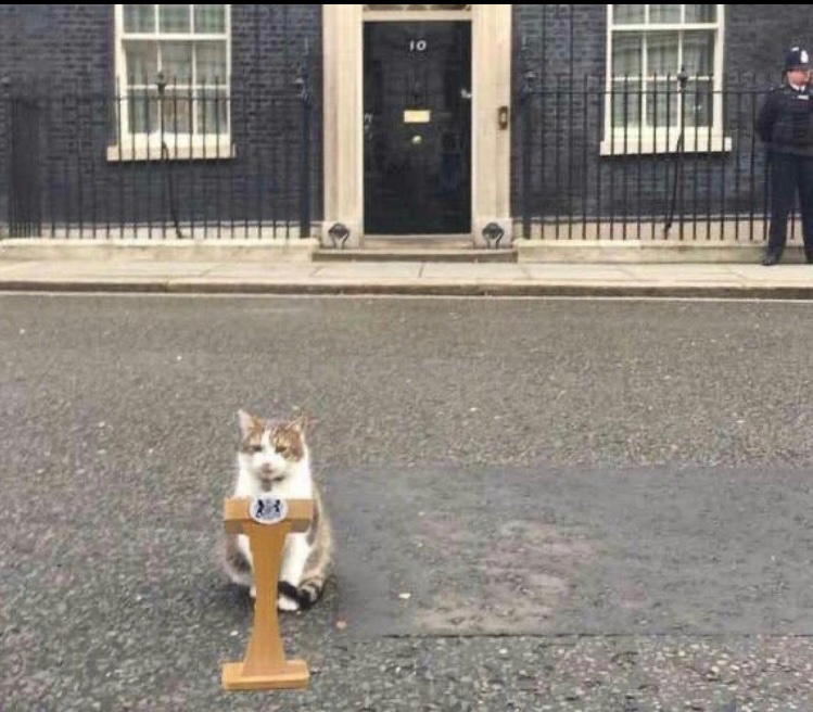 Purrrfect day for a spot of podium practice for Larry the cat after 20-25 letters of no confidence in Rishi Sunak have been submitted as of 21 October 2023. 

#Larrythecat #Sunackered 
#GeneralElectionN0W