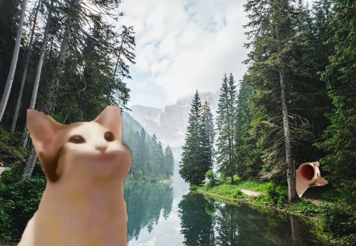 TwoTwelve tweet media