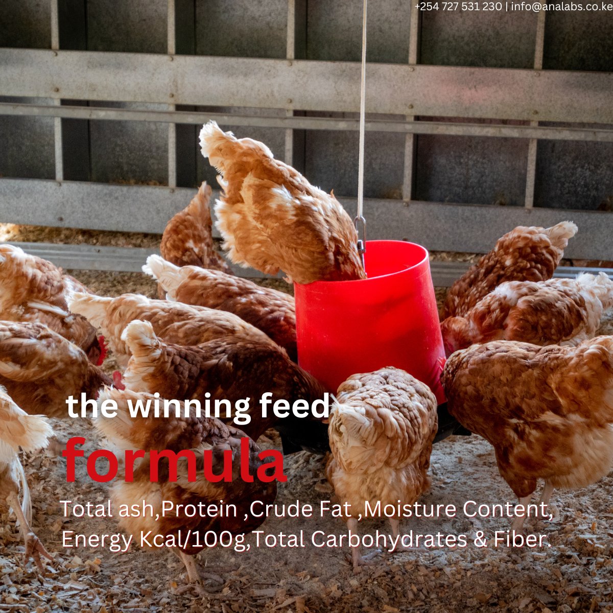 analabskenya's tweet image. Crafting the ideal poultry feed formula is essential for healthy, productive layers. Customization matters, from corn to seaweed. Near-infrared spectroscopy ensures top-notch nutrition. #AnimalNutrition #FeedFormulation #SustainableAgri