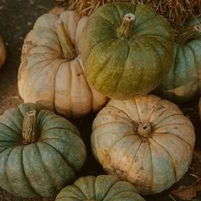 Lisa Laura tweet media