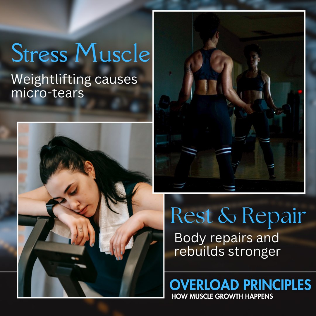 NutrimedH's tweet image. Unlocking Muscle Growth!

Weightlifting breaks down muscle fibers, triggering tiny tears. During rest, your body works its magic, repairing and reinforcing those fibers, making you stronger.

Embrace the overload principle for epic gains! 💥

#MuscleGrowth #OverloadPrinciple