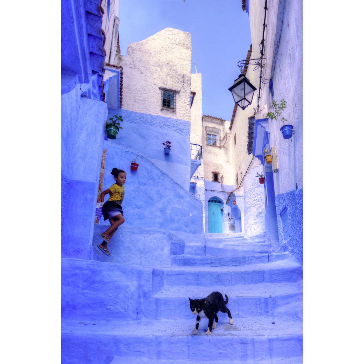 TripsServices's tweet photo. A picturesque blue-washed cityscape in Chefchaouen, Morocco, with buildings and streets adorned in various shades of blue, creating a charming and unique atmosphere. https://t.co/BcIKqjgDwy