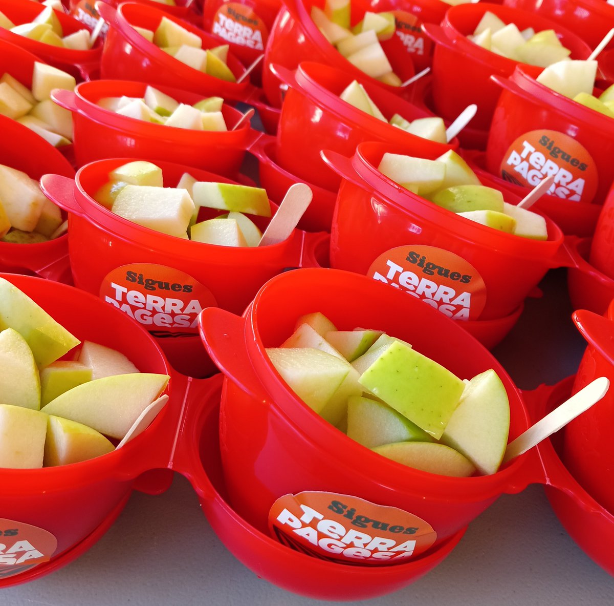 🍎<a href="/uniopagesos/">Unió de Pagesos</a> i <a href="/TerraPagesa/">Terra Pagesa</a>, amb el grup d'animació infantil <a href="/lacremallerate/">La Cremallera Teatre</a>, van organitzar divendres un tast de fruita dolça de la campanya 'Disfruita-la' per a nenes i nens a #Barcelona, en el marc de la Fira #MercatdeMercats de <a href="/MercatsBCN/">Mercats de Barcelona</a>.