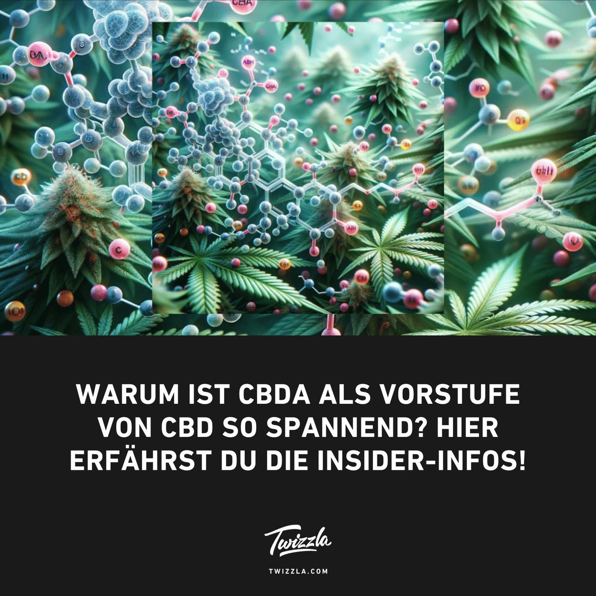CBD, CBDA, CBDV... verwirrt? 🌿 Tauche ein in die faszinierende Welt der Cannabinoide #CBD #CBDA #CBDV #CannabisScience #Wissenswertes

twizzla.com/blogs/magazin/…