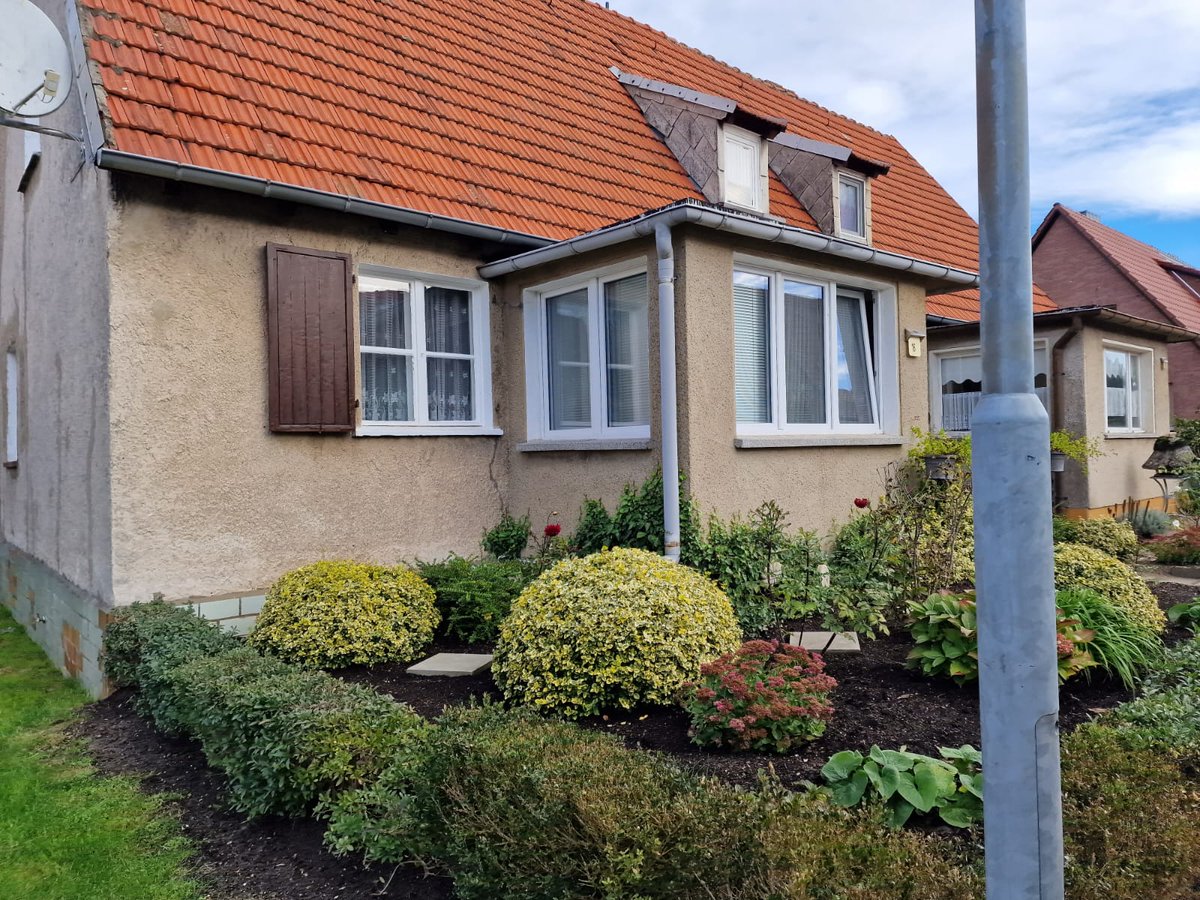 SannyGKnabe tweet media