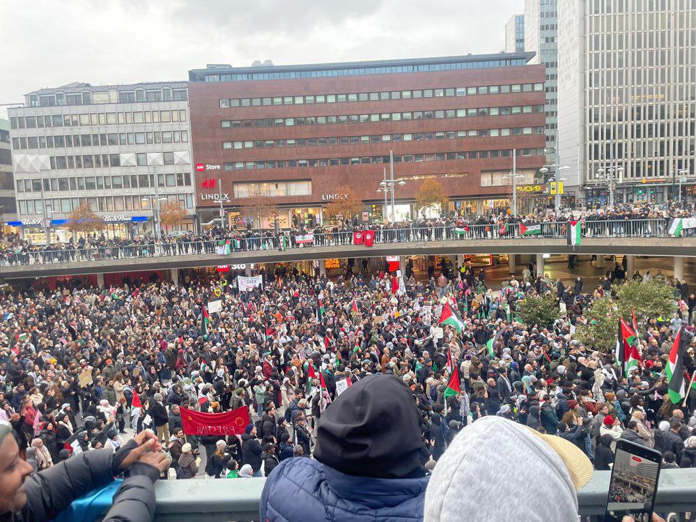 The Inside- Palestine tweet media