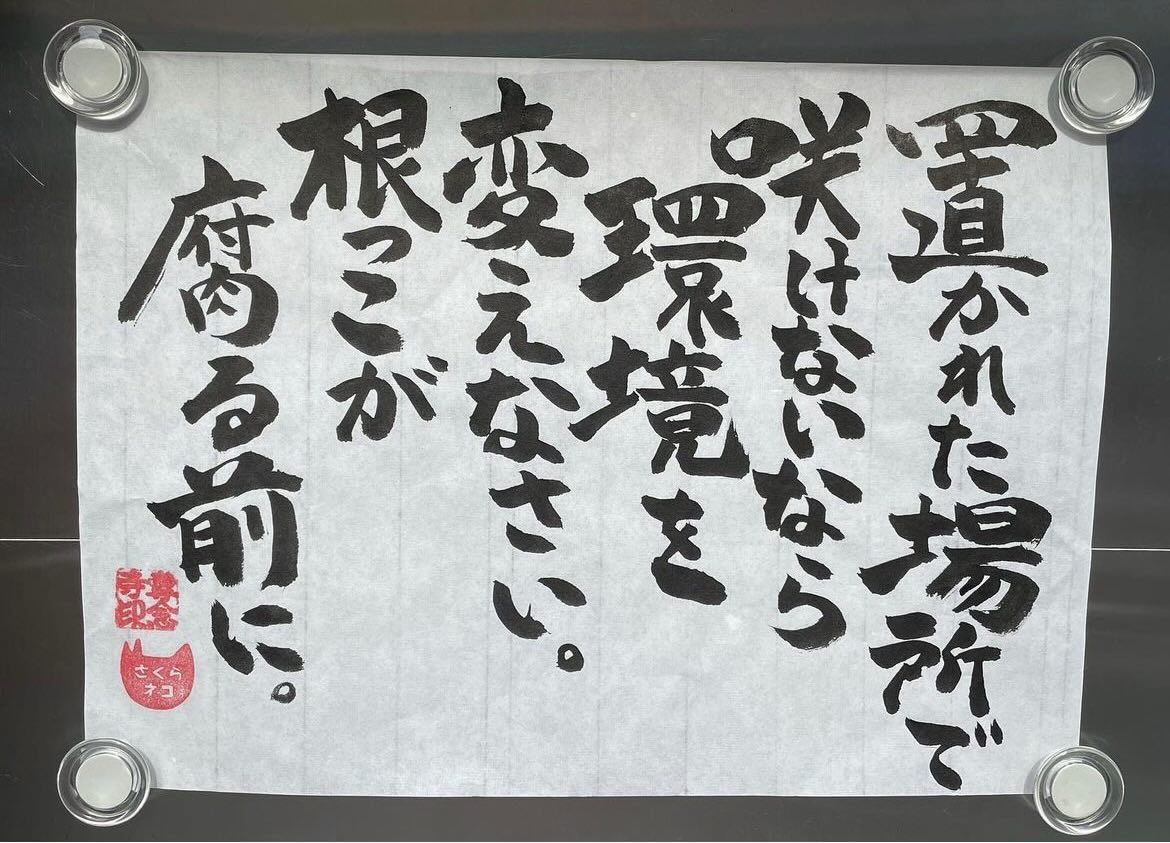 zip007's tweet image. (´･_･`)