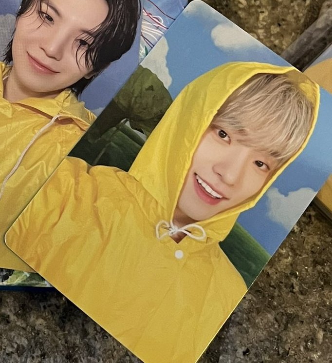 아니 지금 디노만 5살인데??