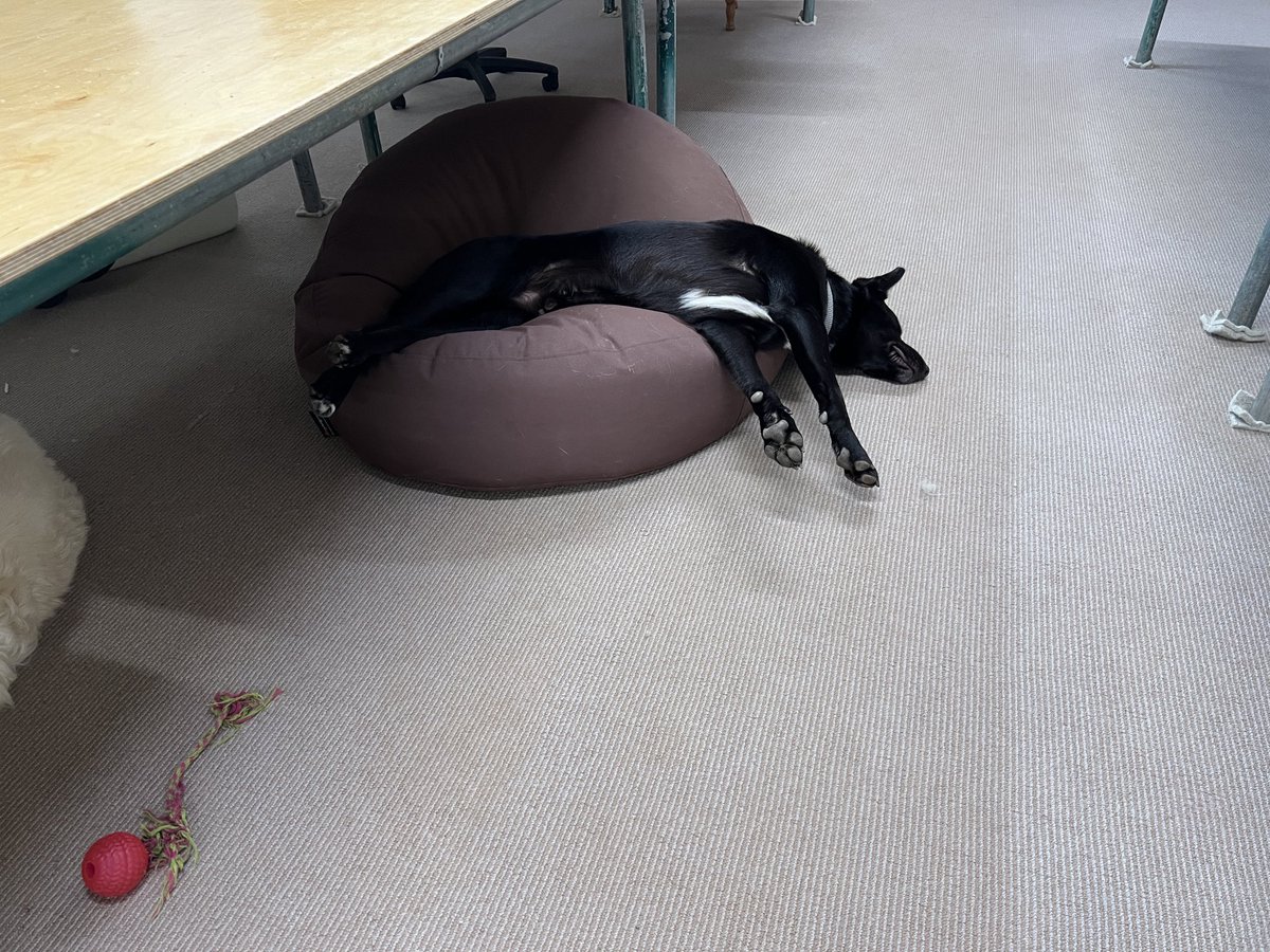 Monday morning and he’s totally on it!!