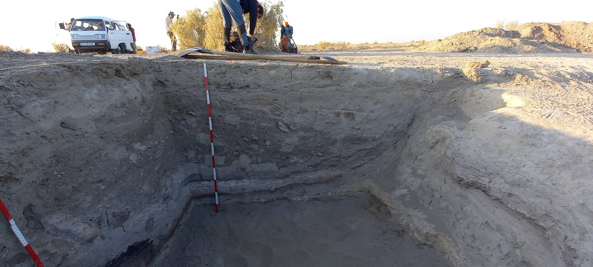 cnr_igag's tweet photo. Il Lab #Palinologia e #Paleoecologia #cnr_igag ha partecipato alle attività di terreno del progetto di #ricerca "Archaeo-scientific Analyses in the Old Zerafshan Delta during the Final Bronze/Early Iron Age Transition at Kimirek kum/#Uzbekistan".
#pollenanalysis #climatechange https://t.co/DySyi5XKnJ