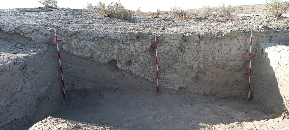 cnr_igag's tweet photo. Il Lab #Palinologia e #Paleoecologia #cnr_igag ha partecipato alle attività di terreno del progetto di #ricerca "Archaeo-scientific Analyses in the Old Zerafshan Delta during the Final Bronze/Early Iron Age Transition at Kimirek kum/#Uzbekistan".
#pollenanalysis #climatechange https://t.co/DySyi5XKnJ