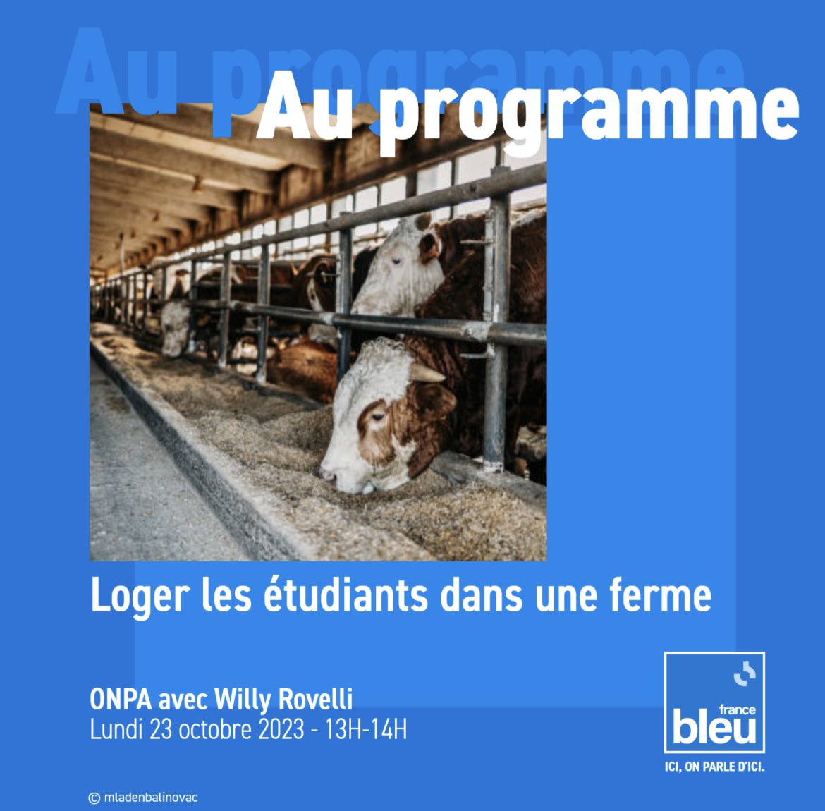 NMalaboeuf's tweet photo. 🔵 C’est parti pour la 8ème semaine de la saison d’#ONPA avec @Willy_Rovelli et sa tribu @Fabien_Emo et @RobinBernaud en direct dès 13H sur @francebleu !

👨‍🌾 Loger des étudiants dans une ferme #CampusVert

👯‍♂️ Lutter contre la solitude et faciliter les rencontres amicales @leizup https://t.co/n94LITpck3