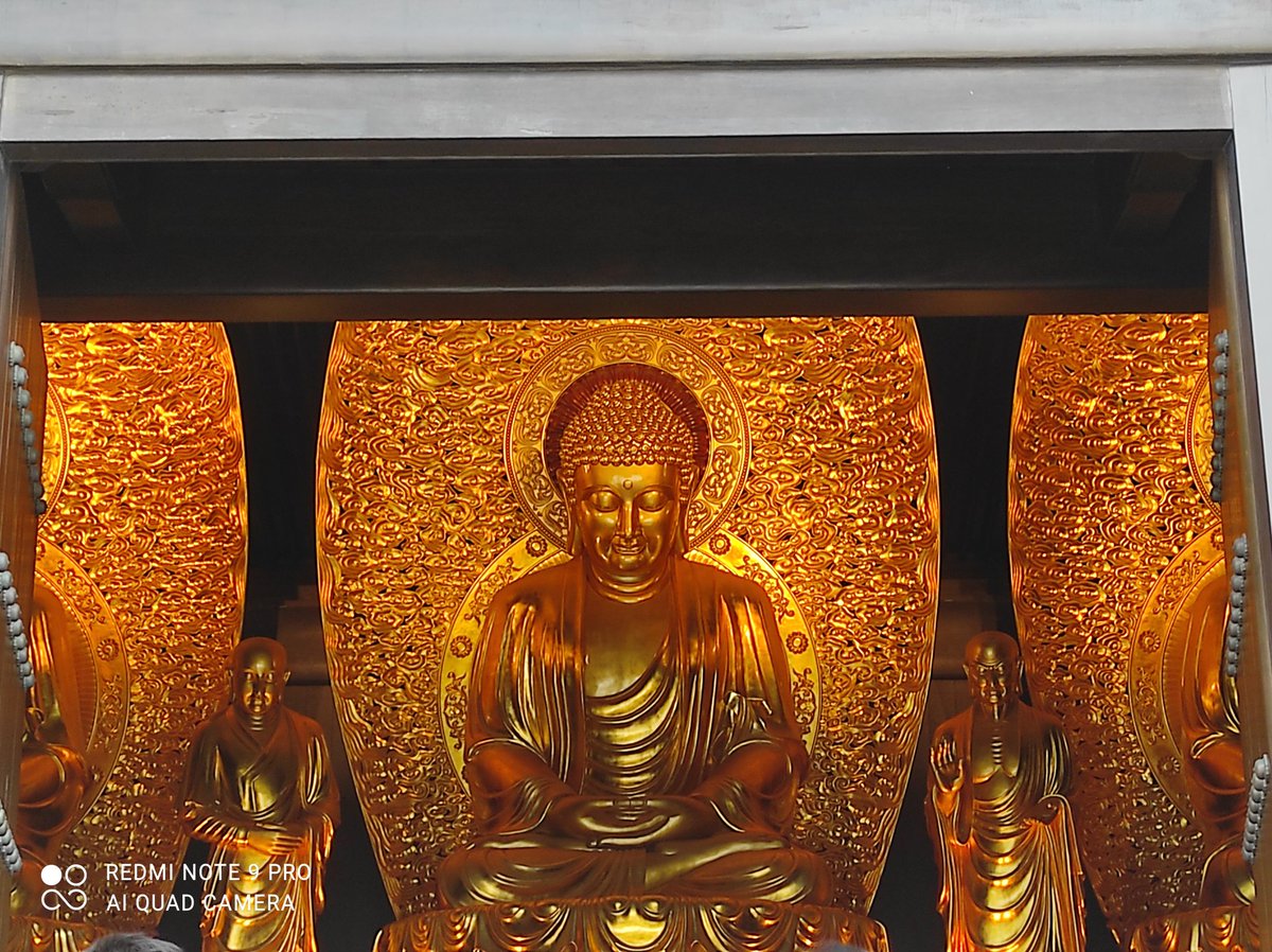fatken33's tweet photo. An oasis of calmness &amp; spiritual well-being  amid the hussle &amp; bussle of Hong Kong. You could easily imagine being present in Tang's Chiang'an or Kyoto. Tsz Shan Monastery is a must for every visitor to the city. https://t.co/JsWC8iEap8