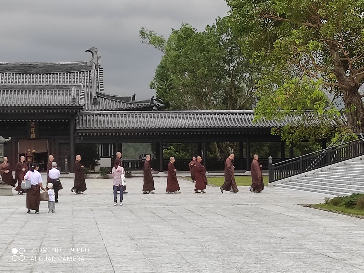 fatken33's tweet photo. An oasis of calmness &amp; spiritual well-being  amid the hussle &amp; bussle of Hong Kong. You could easily imagine being present in Tang's Chiang'an or Kyoto. Tsz Shan Monastery is a must for every visitor to the city. https://t.co/JsWC8iEap8