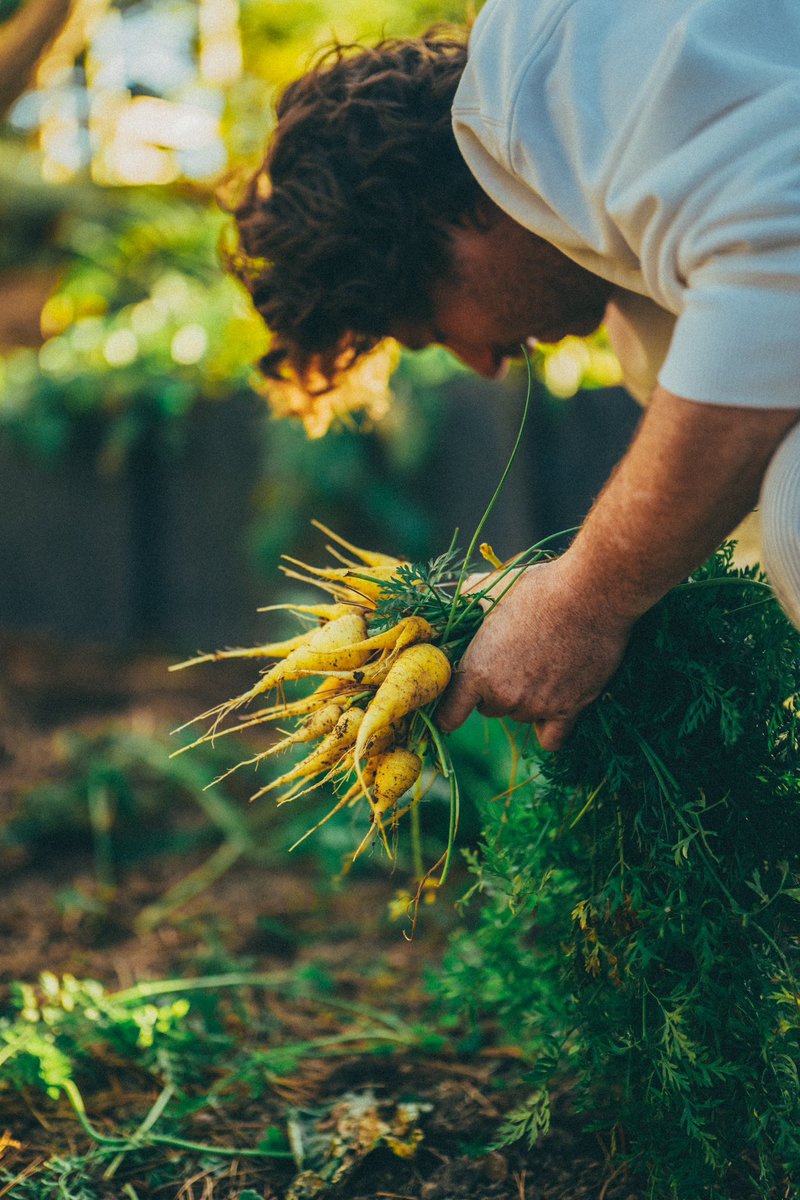Jean Imbert tweet media