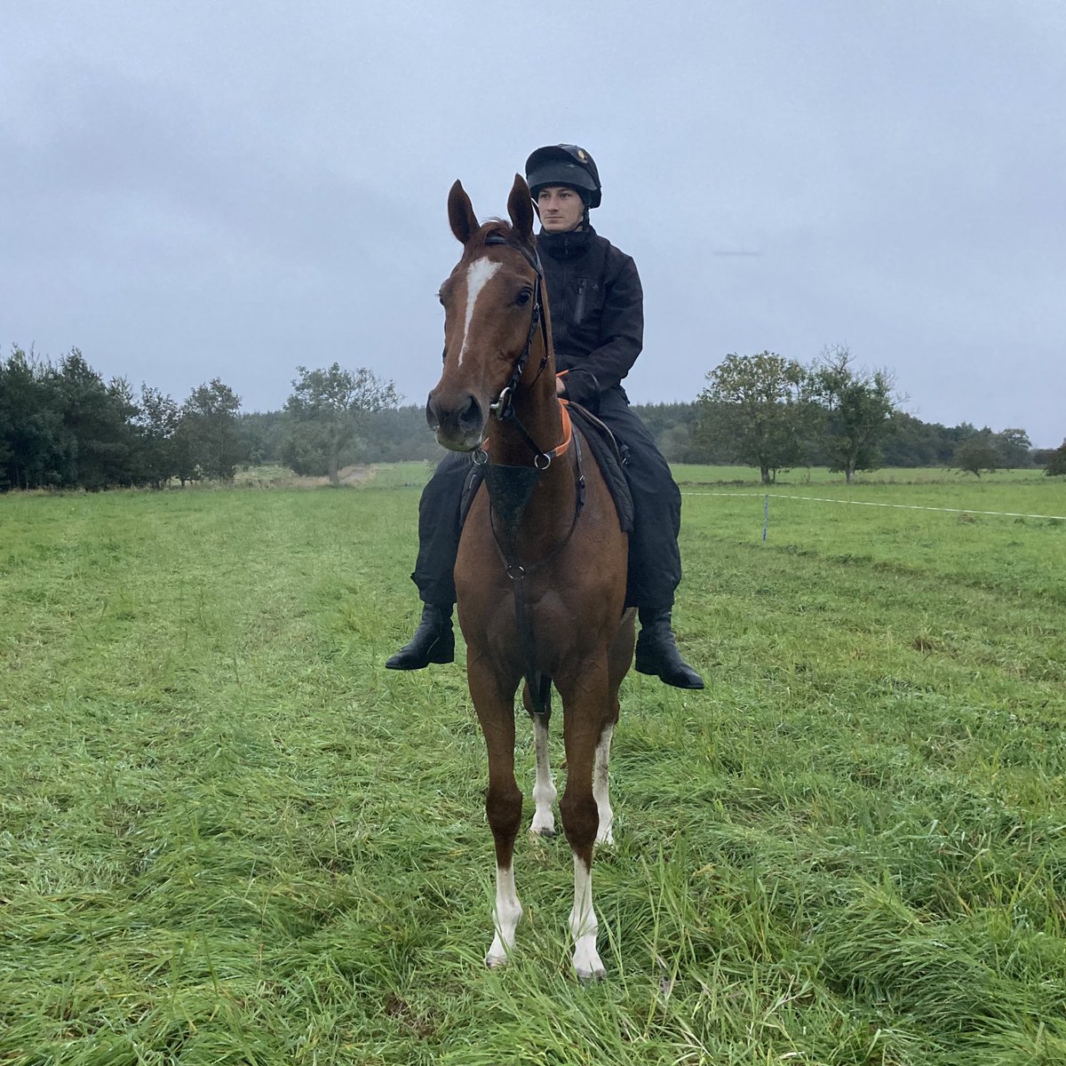 What a handsome chap COOLMOYNE is 😍

#Ocovango | #LoveTheRacehorse | #NationalHunt | #Northumberland