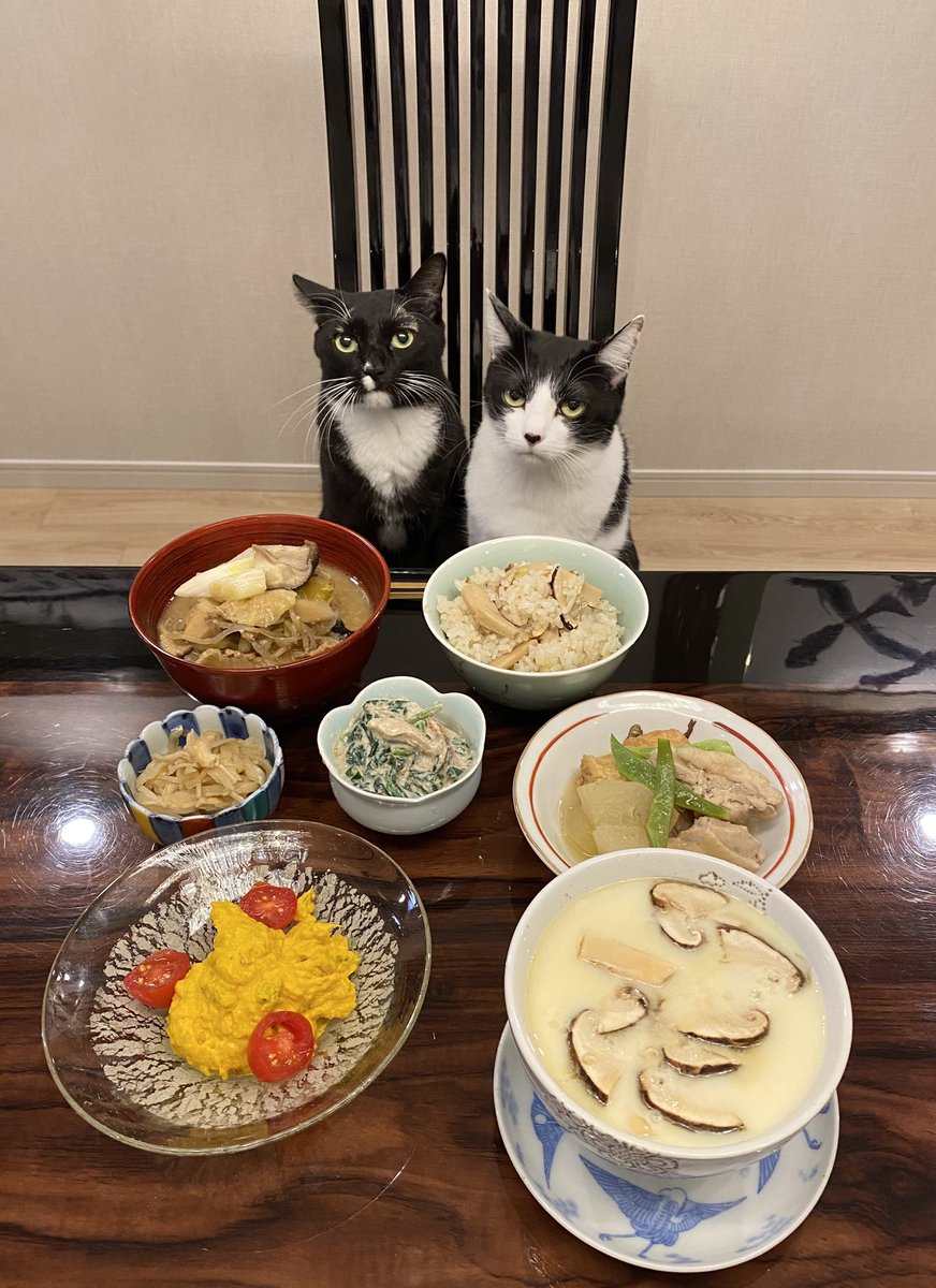 fuji_ayako's tweet photo. 「マツタケ？きゃっか！」 https://t.co/nEAWBotmIk